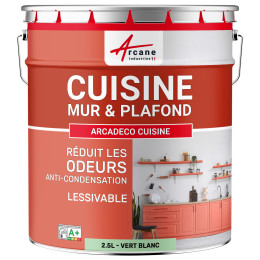 Peinture cuisine vert lavable. mur et plafond : ARCADÉCO CUISINE 2.5 L - Vert Blanc - RAL 6019