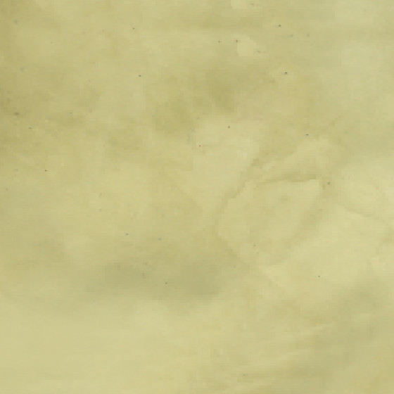 Pittura stucco, INTONACO STUCCOLIS con malta e colorante kit fino 7 m² Beige verde