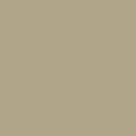 Intonaco a Calce per Muri Interni e Facciate Esterne - BADIPLUS 20 x 20 kg Palermo - Beige