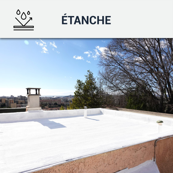 Peinture toiture Coolroof résistant stagnation d'eau : Arcareflect Aquastop