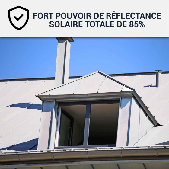 Coolroof, Peinture anti chaleur toit métallique : Arcareflect Antico